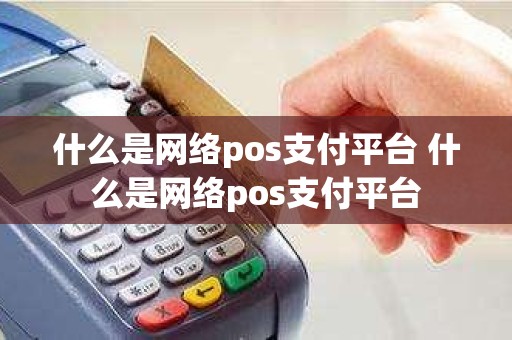 什么是网络pos支付平台 什么是网络pos支付平台