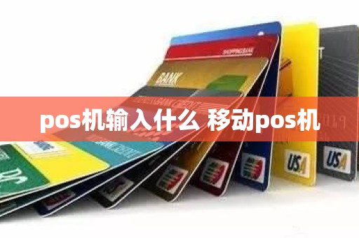 pos机输入什么 移动pos机