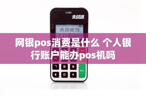 网银pos消费是什么 个人银行账户能办pos机吗