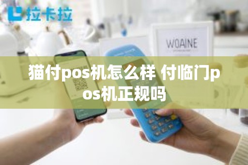 猫付pos机怎么样 付临门pos机正规吗
