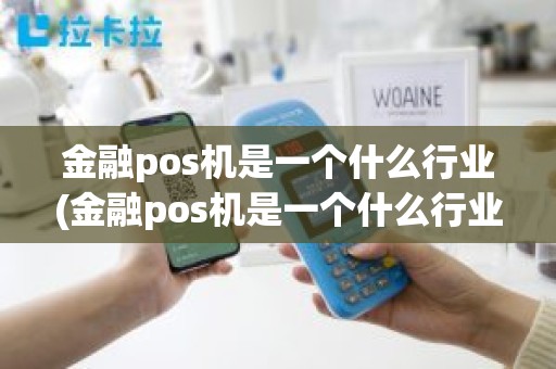 金融pos机是一个什么行业(金融pos机是一个什么行业)