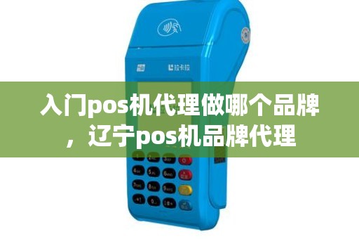 入门pos机代理做哪个品牌，辽宁pos机品牌代理