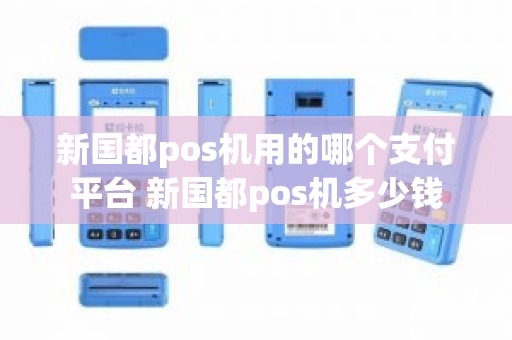 新国都pos机用的哪个支付平台 新国都pos机多少钱