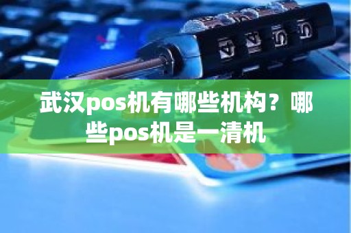 武汉pos机有哪些机构？哪些pos机是一清机