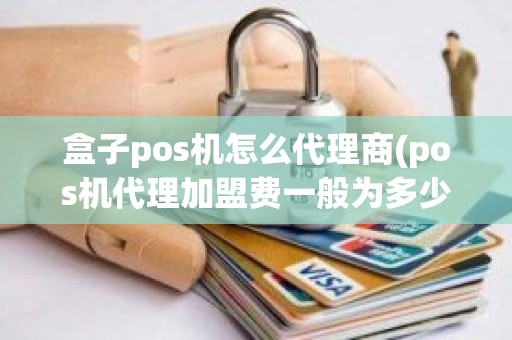 盒子pos机怎么代理商(pos机代理加盟费一般为多少)