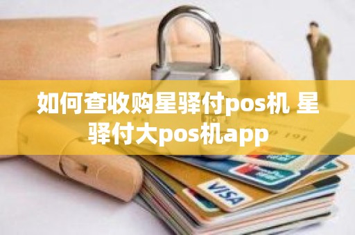 如何查收购星驿付pos机 星驿付大pos机app