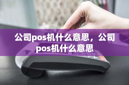 公司pos机什么意思，公司pos机什么意思