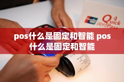 pos什么是固定和智能 pos什么是固定和智能