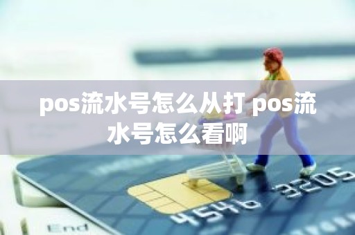 pos流水号怎么从打 pos流水号怎么看啊