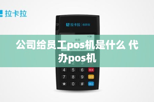 公司给员工pos机是什么 代办pos机