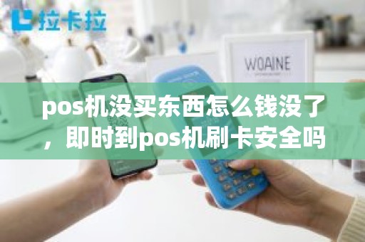 pos机没买东西怎么钱没了，即时到pos机刷卡安全吗