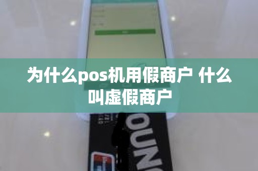为什么pos机用假商户 什么叫虚假商户