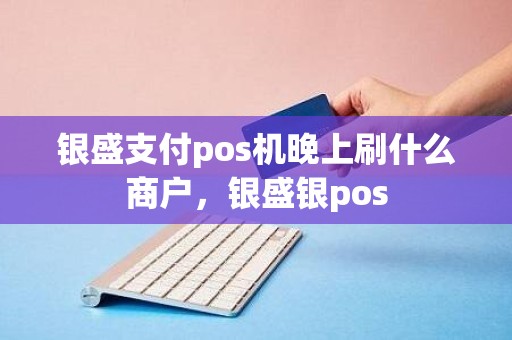银盛支付pos机晚上刷什么商户，银盛银pos