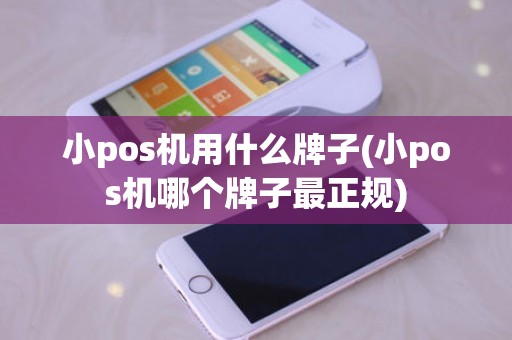 小pos机用什么牌子(小pos机哪个牌子最正规)