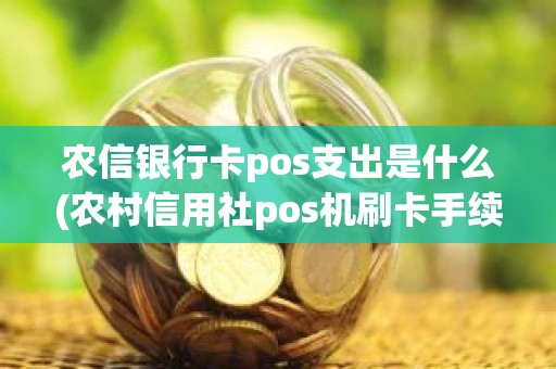 农信银行卡pos支出是什么(农村信用社pos机刷卡手续费)