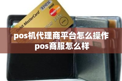 pos机代理商平台怎么操作 pos商服怎么样
