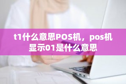 t1什么意思POS机，pos机显示01是什么意思