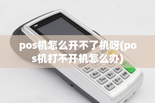 pos机怎么开不了机呀(pos机打不开机怎么办)