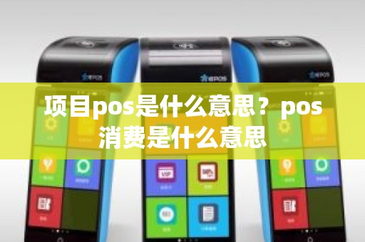 项目pos是什么意思？pos消费是什么意思