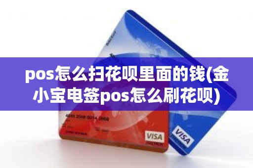 pos怎么扫花呗里面的钱(金小宝电签pos怎么刷花呗)