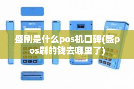 盛刷是什么pos机口碑(盛pos刷的钱去哪里了)