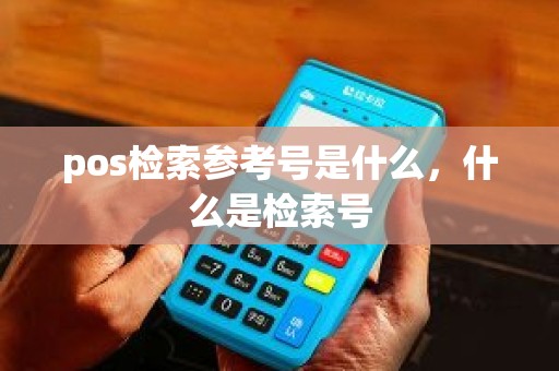 pos检索参考号是什么，什么是检索号