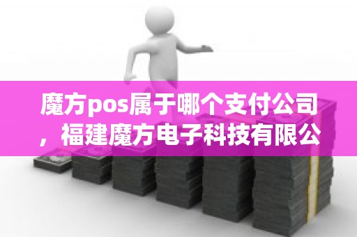 魔方pos属于哪个支付公司，福建魔方电子科技有限公司pos机