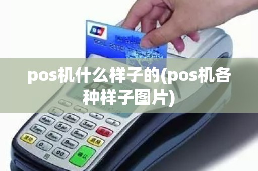 pos机什么样子的(pos机各种样子图片)