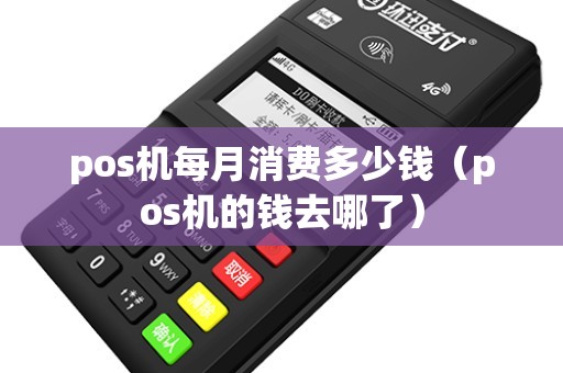pos机每月消费多少钱（pos机的钱去哪了）