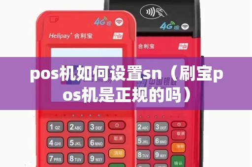 pos机如何设置sn（刷宝pos机是正规的吗）