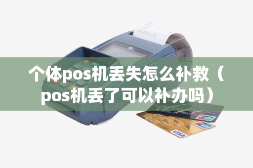 个体pos机丢失怎么补救（pos机丢了可以补办吗）