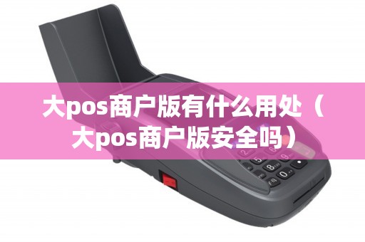 大pos商户版有什么用处（大pos商户版安全吗）