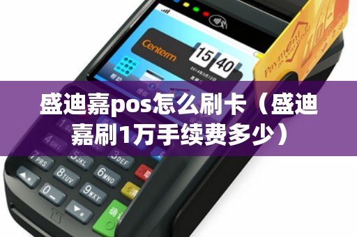 盛迪嘉pos怎么刷卡（盛迪嘉刷1万手续费多少）