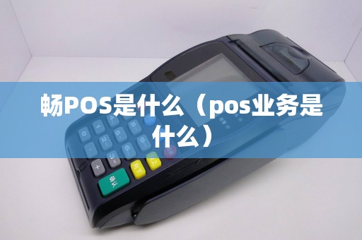 畅POS是什么（pos业务是什么）