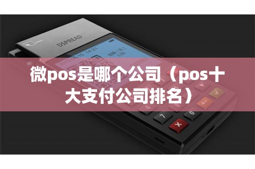 微pos是哪个公司（pos十大支付公司排名）