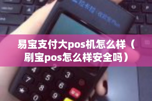 易宝支付大pos机怎么样（刷宝pos怎么样安全吗）