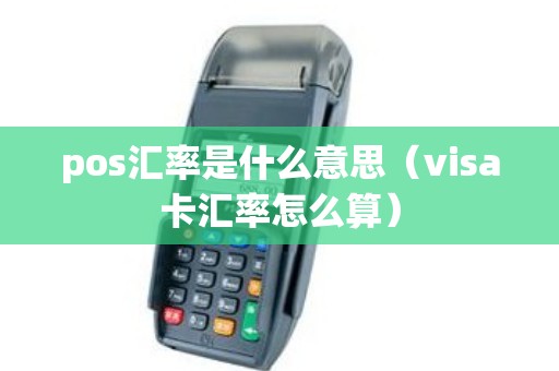 pos汇率是什么意思（visa卡汇率怎么算）