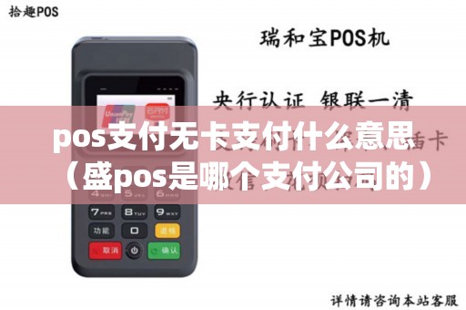 pos支付无卡支付什么意思（盛pos是哪个支付公司的）