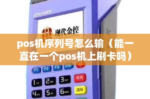 pos机序列号怎么输（能一直在一个pos机上刷卡吗）
