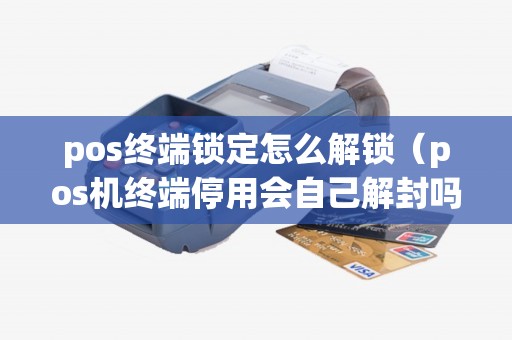 pos终端锁定怎么解锁（pos机终端停用会自己解封吗）