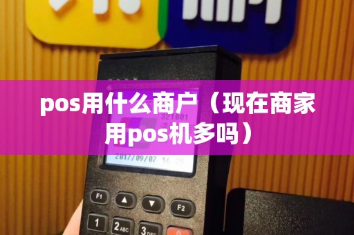pos用什么商户（现在商家用pos机多吗）