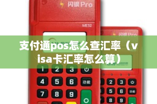 支付通pos怎么查汇率（visa卡汇率怎么算）