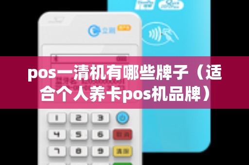 pos一清机有哪些牌子（适合个人养卡pos机品牌）