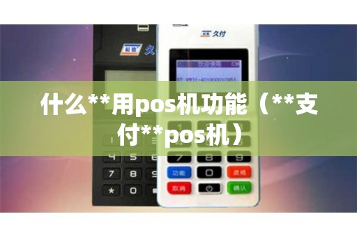 什么**用pos机功能（**支付**pos机）