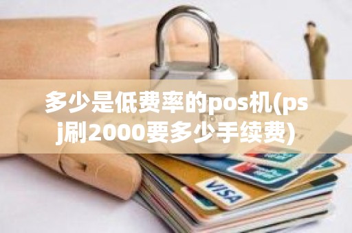 多少是低费率的pos机(psj刷2000要多少手续费)