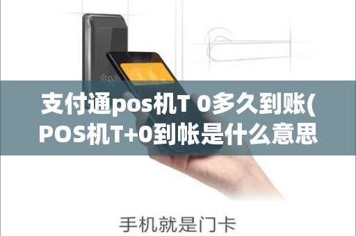 支付通pos机T 0多久到账(POS机T+0到帐是什么意思)