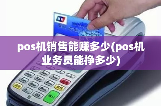 pos机销售能赚多少(pos机业务员能挣多少)