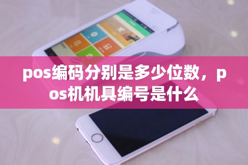 pos编码分别是多少位数，pos机机具编号是什么
