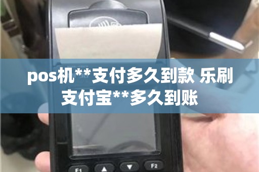 pos机**支付多久到款 乐刷支付宝**多久到账