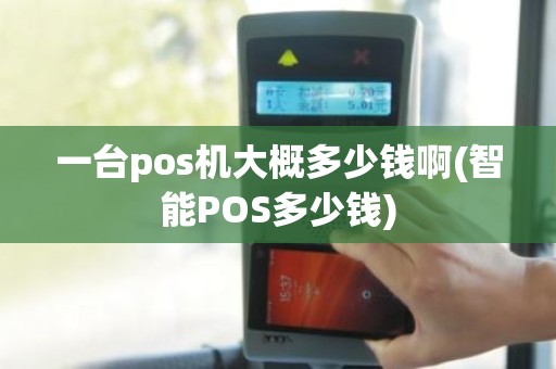 一台pos机大概多少钱啊(智能POS多少钱)
